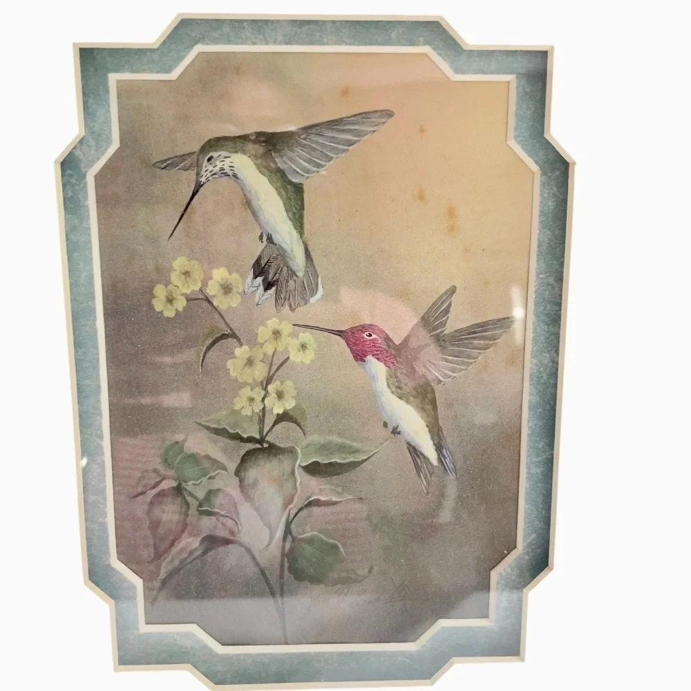 VTG Framed Hummingbird Botanical Prints Set of 2 Wood Frames Cottage Decor